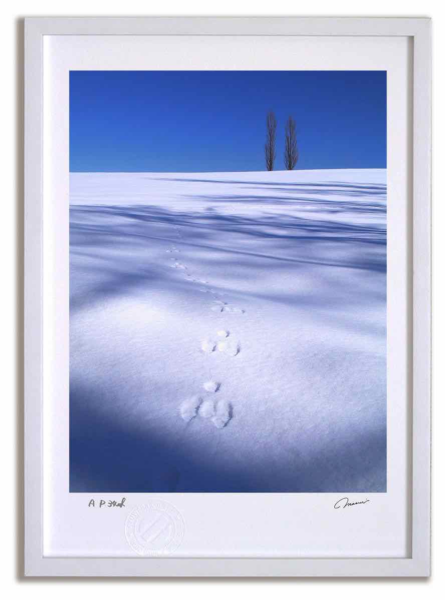 【スーパーSALE半額】アートフォト 絵画 ポプラとウサギの足跡 高橋真澄/インテリア 額入り 額装込 風景画 油絵 ポスター アート アートパネル リビング ...