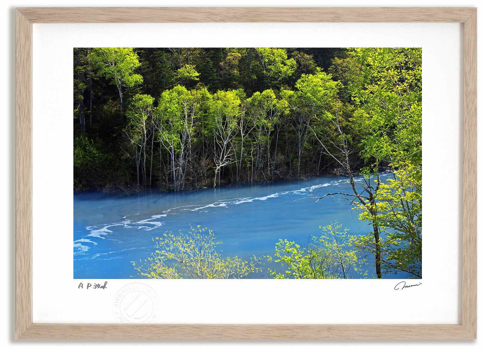 【スーパーSALE半額】アートフォト 絵画 新緑の美瑛川 高橋真澄/インテリア 額入り 額装込 風景画 油絵 ポスター アート アートパネル リビング 玄関 プ...