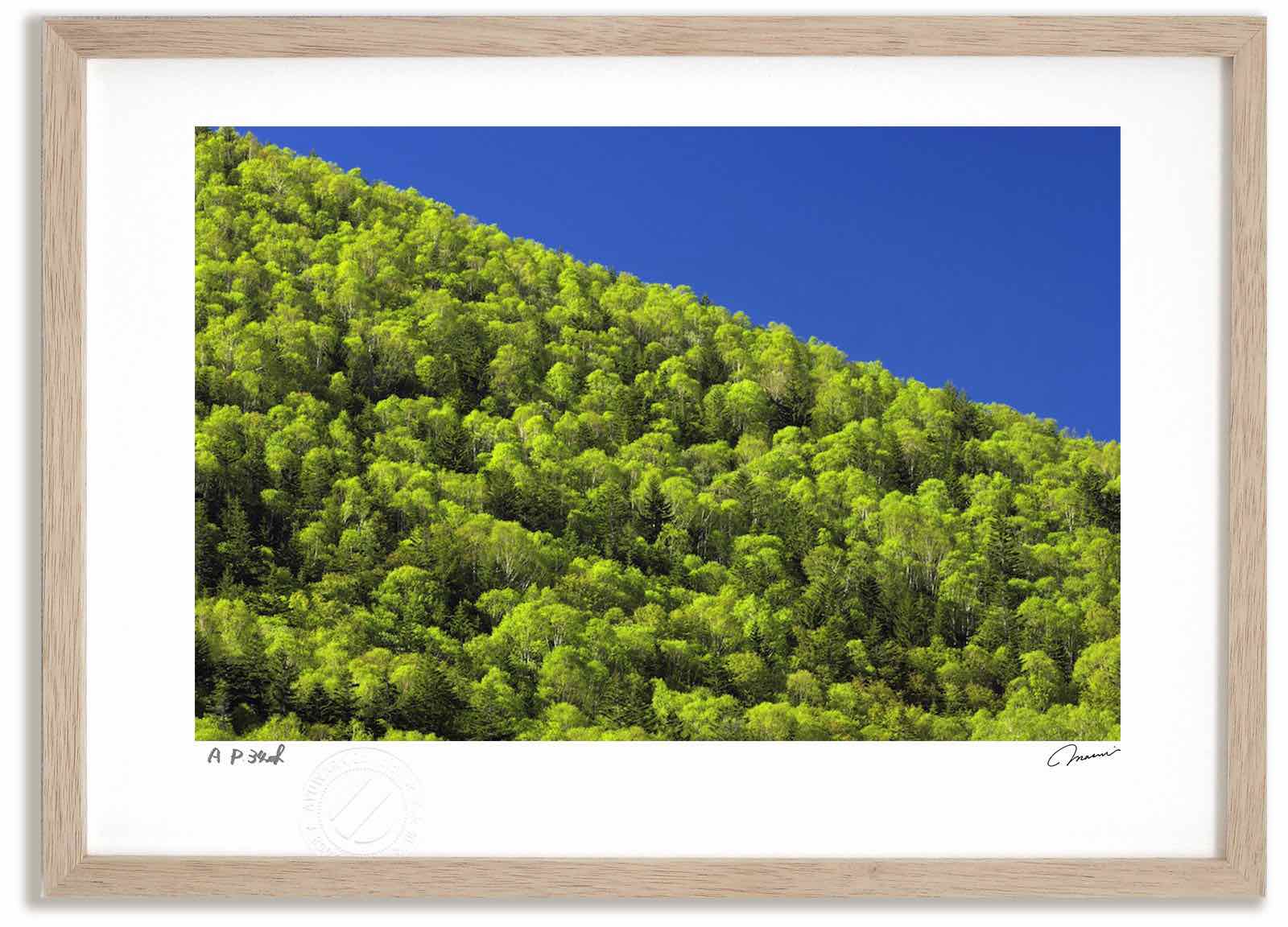 �����ȥե��� ���� ���㻳�ο��� �ⶶ����/����ƥꥢ ������ ������ ���ʲ� ���� �ݥ����� ������ �����ȥѥͥ� ��ӥ� ���� �ץ쥼��� ����� ������...