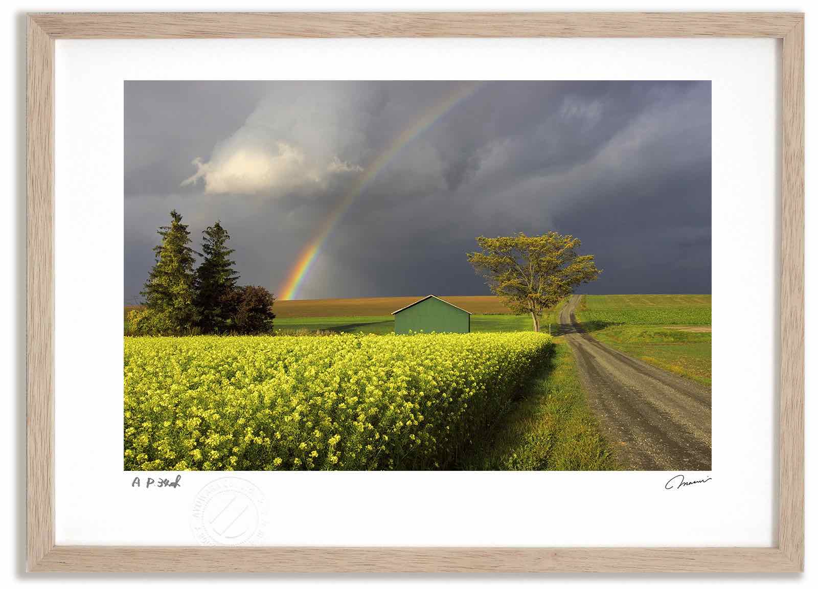 【スーパーSALE半額】アートフォト 絵画 虹と道1 高橋真澄/インテリア 額入り 額装込 風景画 油絵 ポスター アート アートパネル リビング 玄関 プレゼ...