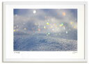 最大100%ポイントバック!限定抽選 アートフォト 絵画 七色に光る雪ボタル 高橋真澄/インテリア 額入り 額装込 風景画 油絵 ポスター アート アートパネル...