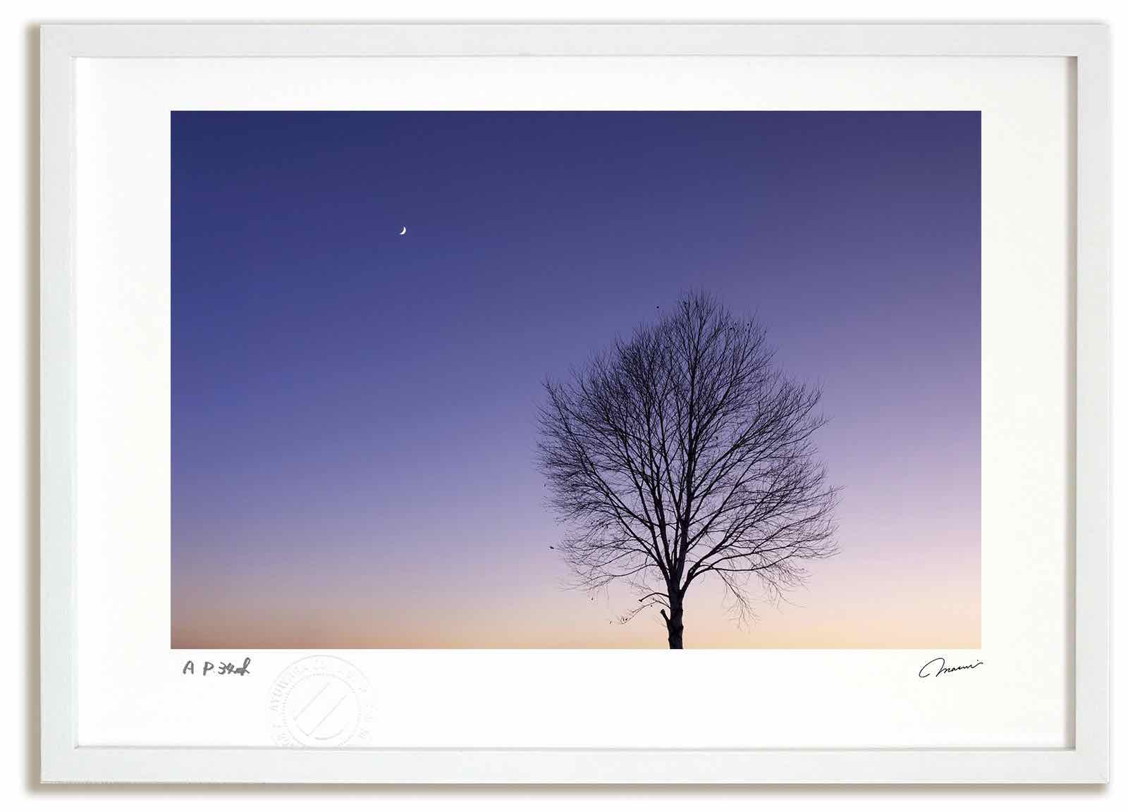 【スーパーSALE半額】アートフォト 絵画 白樺と月1 高橋真澄/インテリア 額入り 額装込 風景画 油絵 ポスター アート アートパネル リビング 玄関 プレ...