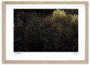 最大100%ポイントバック!限定抽選 アートフォト 絵画 夕日のねこやなぎ3 高橋真澄/インテリア 額入り 額装込 風景画 油絵 ポスター アート アートパネル...