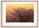 最大100%ポイントバック!限定抽選 アートフォト 絵画 日の出の桜1 高橋真澄/インテリア 額入り 額装込 風景画 油絵 ポスター アート アートパネル リビ...