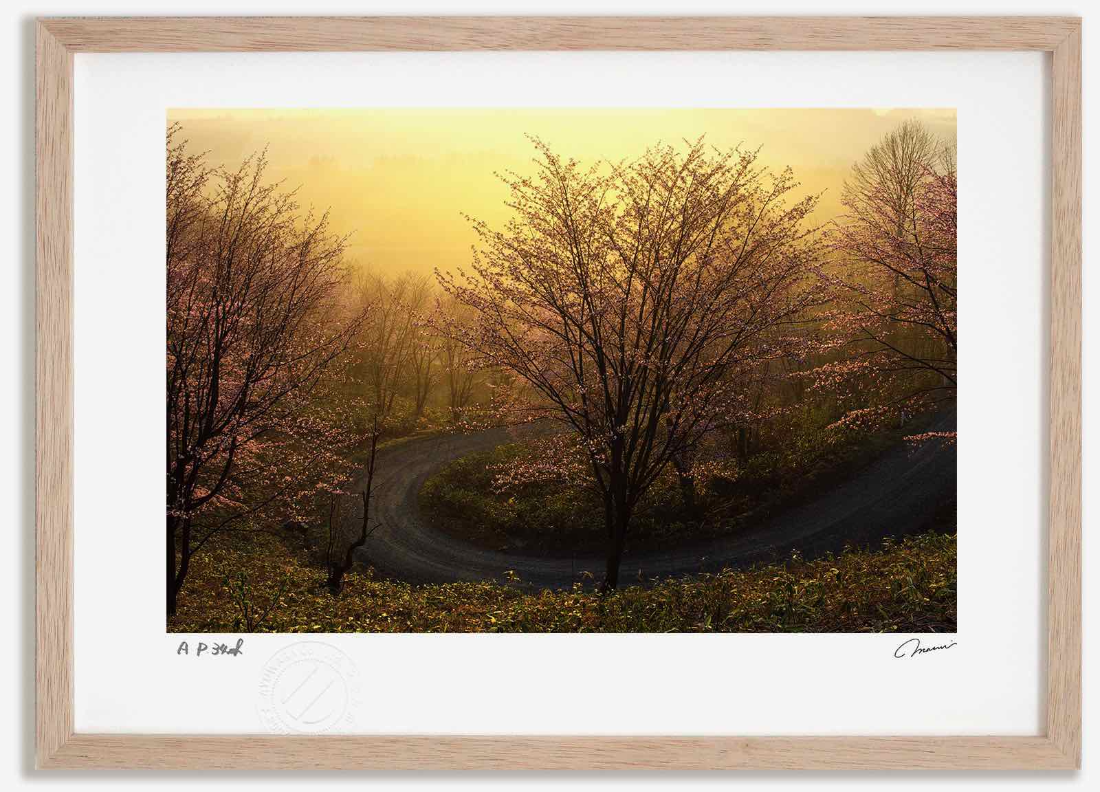 【スーパーSALE半額】アートフォト 絵画 日の出の桜2 高橋真澄/インテリア 額入り 額装込 風景画 油絵 ポスター アート アートパネル リビング 玄関 プ...