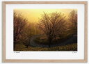 最大100%ポイントバック!限定抽選 アートフォト 絵画 日の出の桜2 高橋真澄/インテリア 額入り 額装込 風景画 油絵 ポスター アート アートパネル リビ...
