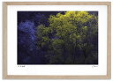 最大100%ポイントバック!限定抽選 アートフォト 絵画 新緑と桜1 高橋真澄/インテリア 額入り 額装込 風景画 油絵 ポスター アート アートパネル リビン...