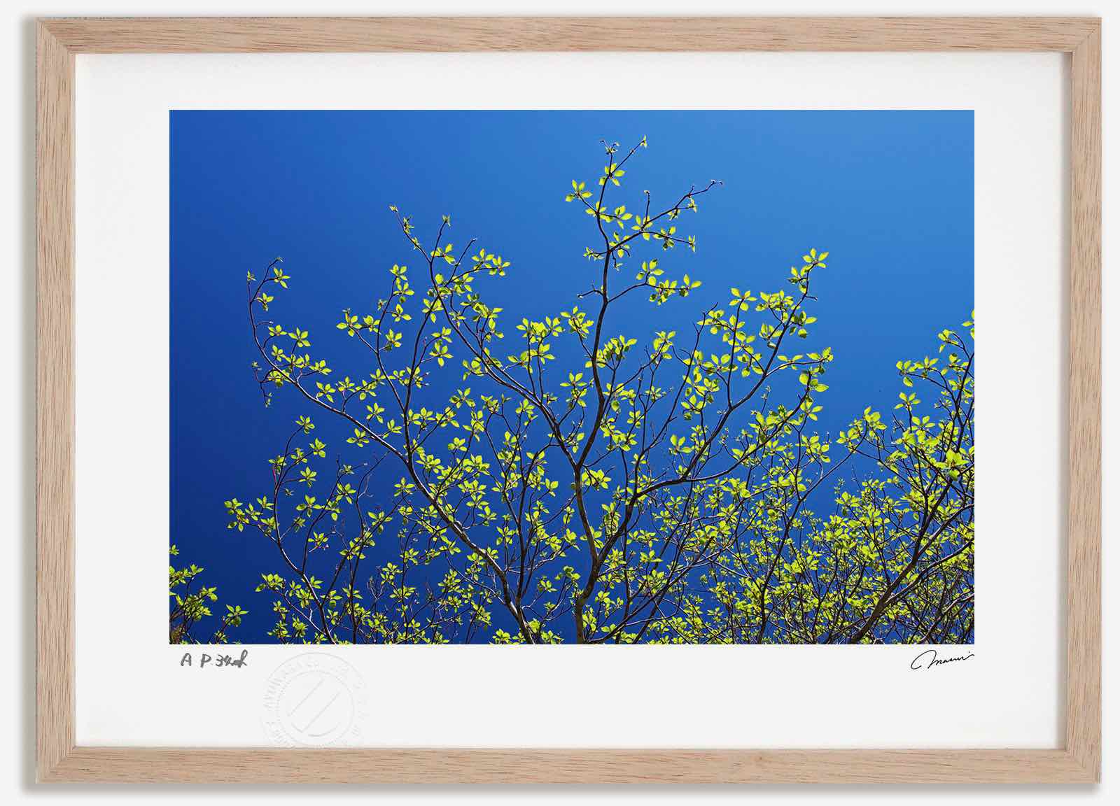 【スーパーSALE半額】アートフォト 絵画 新緑3/上士幌町 高橋真澄/インテリア 額入り 額装込 風景画 油絵 ポスター アート アートパネル リビング 玄関...