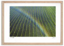 最大100%ポイントバック!限定抽選 アートフォト 絵画 田んぼの虹3 高橋真澄/インテリア 額入り 額装込 風景画 油絵 ポスター アート アートパネル リビ...