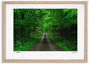 最大100%ポイントバック!限定抽選 アートフォト 絵画 新緑の道1 高橋真澄/インテリア 額入り 額装込 風景画 油絵 ポスター アート アートパネル リビン...