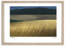 最大100%ポイントバック!限定抽選 アートフォト 絵画 畑の文様1 高橋真澄/インテリア 額入り 額装込 風景画 油絵 ポスター アート アートパネル リビン...