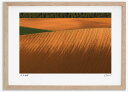 最大100%ポイントバック!限定抽選 アートフォト 絵画 畑の文様4 高橋真澄/インテリア 額入り 額装込 風景画 油絵 ポスター アート アートパネル リビン...