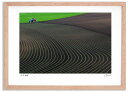 最大100%ポイントバック!限定抽選 アートフォト 絵画 畑の畝 高橋真澄/インテリア 額入り 額装込 風景画 油絵 ポスター アート アートパネル リビング ...
