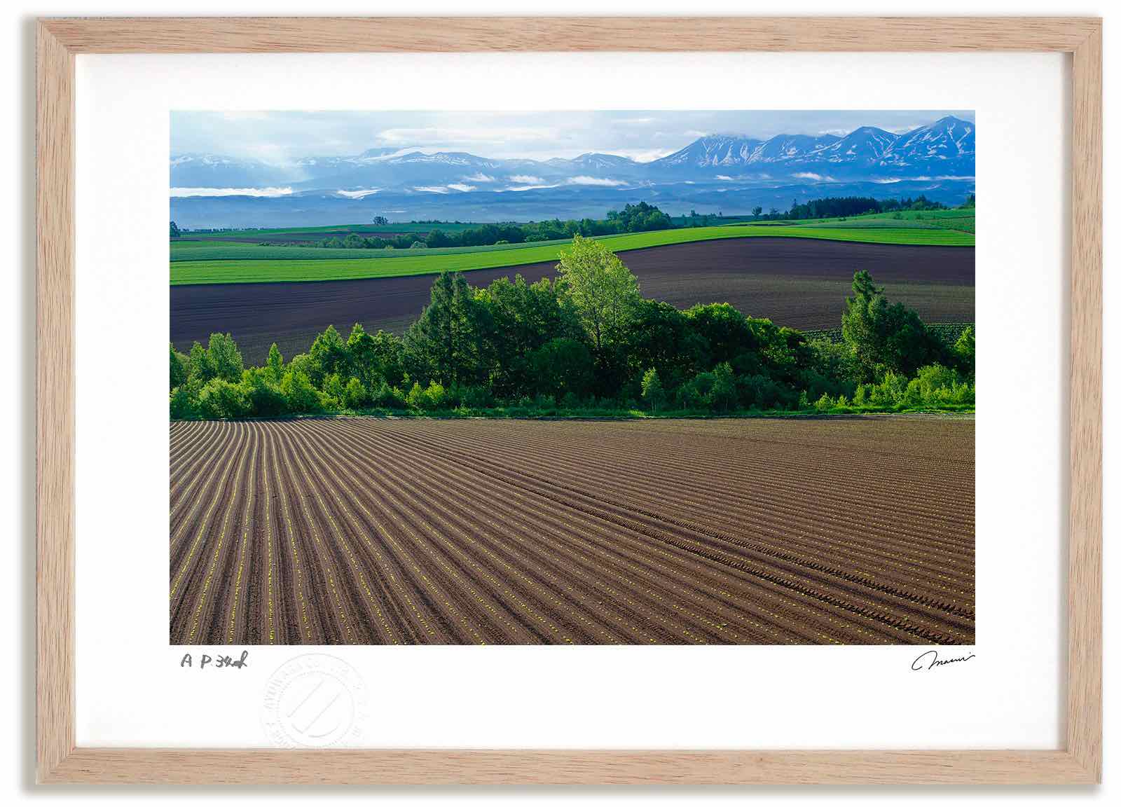 �����ȥե��� ���� �դε�6 �ⶶ����/����ƥꥢ ������ ������ ���ʲ� ���� �ݥ����� ������ �����ȥѥͥ� ��ӥ� ���� �ץ쥼��� ����� �����ȥե�...