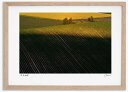 最大100%ポイントバック!限定抽選 アートフォト 絵画 夕日当る丘 高橋真澄/インテリア 額入り 額装込 風景画 油絵 ポスター アート アートパネル リビン...