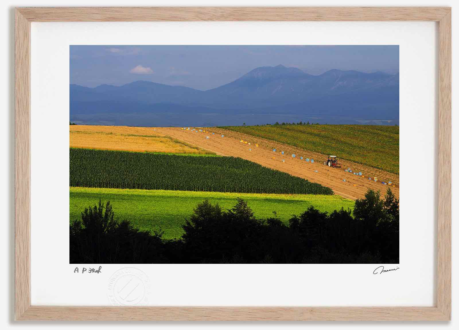 【スーパーSALE半額】アートフォト 絵画 収穫の丘2 高橋真澄/インテリア 額入り 額装込 風景画 油絵 ポスター アート アートパネル リビング 玄関 プレ...