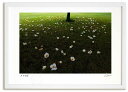 最大100%ポイントバック!限定抽選 アートフォト 絵画 夏椿 高橋真澄/インテリア 額入り 額装込 風景画 油絵 ポスター アート アートパネル リビング 玄...