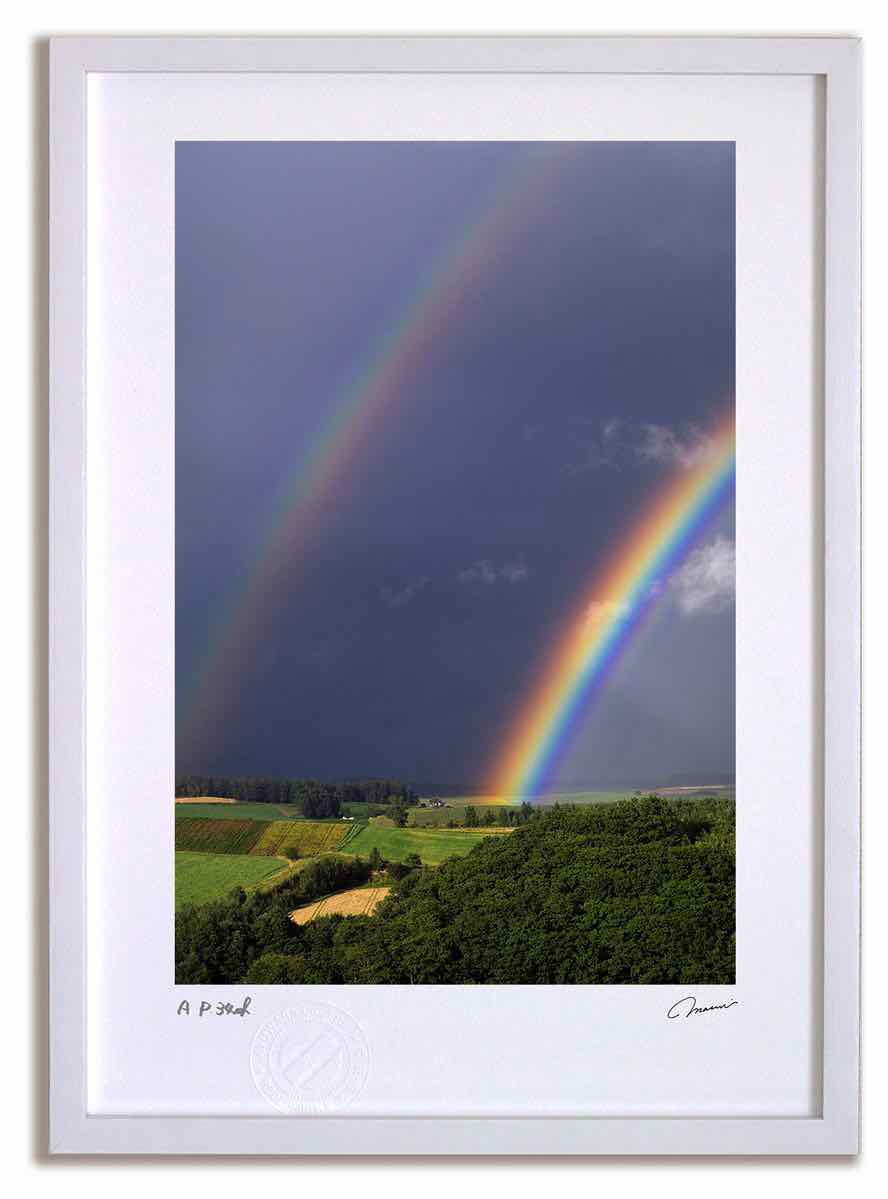 【スーパーSALE半額】アートフォト 絵画 丘の虹4 高橋真澄/インテリア 額入り 額装込 風景画 油絵 ポスター アート アートパネル リビング 玄関 プレゼ...