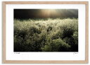 最大100%ポイントバック!限定抽選 アートフォト 絵画 アスパラ畑 高橋真澄/インテリア 額入り 額装込 風景画 油絵 ポスター アート アートパネル リビン...