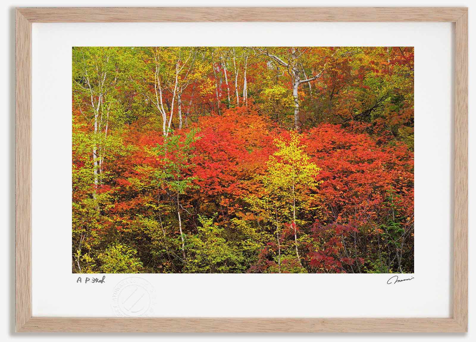 【スーパーSALE半額】アートフォト 絵画 十勝岳温泉の紅葉1 高橋真澄/インテリア 額入り 額装込 風景画 油絵 ポスター アート アートパネル リビング 玄...