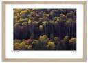 最大100%ポイントバック!限定抽選 アートフォト 絵画 大雪山の紅葉5 高橋真澄/インテリア 額入り 額装込 風景画 油絵 ポスター アート アートパネル リ...