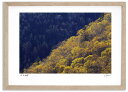 最大100%ポイントバック!限定抽選 アートフォト 絵画 大雪山の紅葉6 高橋真澄/インテリア 額入り 額装込 風景画 油絵 ポスター アート アートパネル リ...