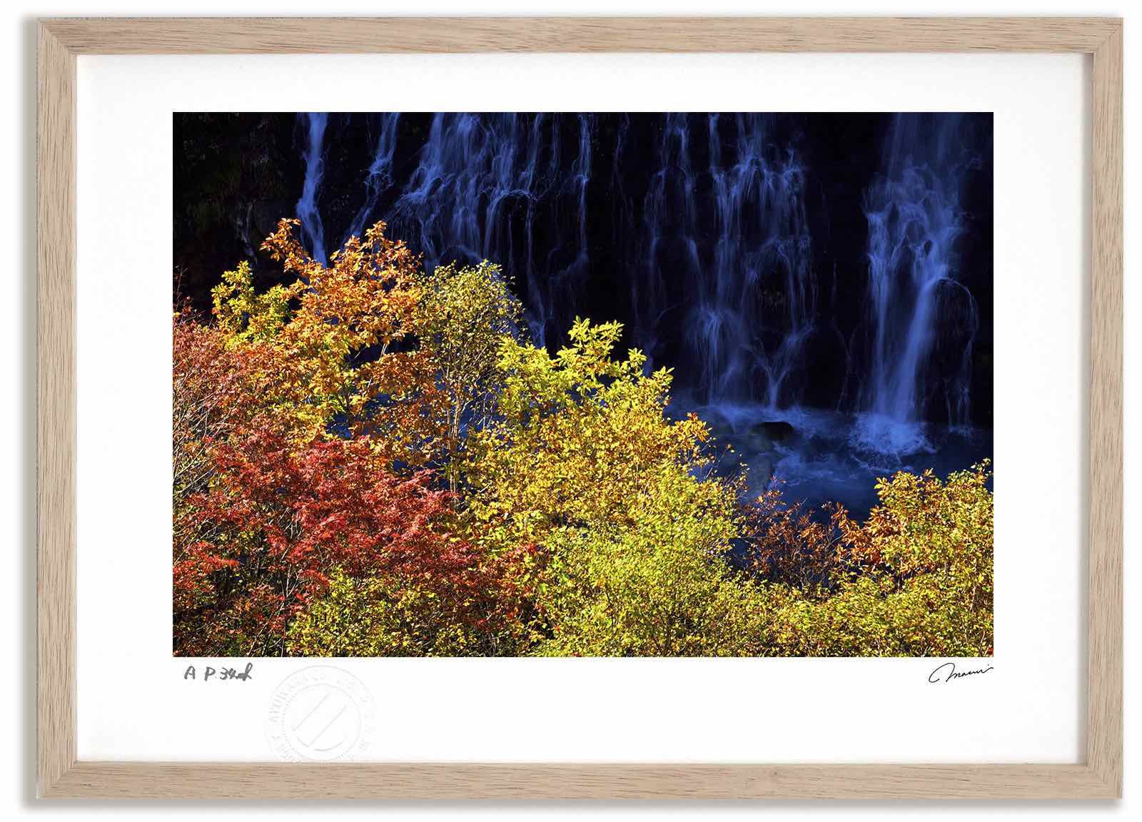 【スーパーSALE半額】アートフォト 絵画 紅葉の白ひげの滝1 高橋真澄/インテリア 額入り 額装込 風景画 油絵 ポスター アート アートパネル リビング 玄...