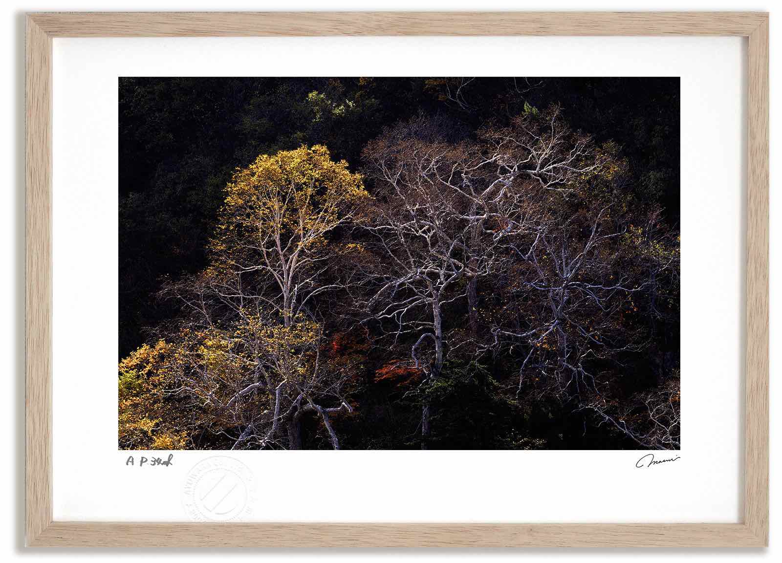 【スーパーSALE半額】アートフォト 絵画 紅葉の十勝岳温泉1 高橋真澄/インテリア 額入り 額装込 風景画 油絵 ポスター アート アートパネル リビング 玄...