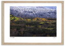 最大100%ポイントバック!限定抽選 アートフォト 絵画 紅葉と新雪2 高橋真澄/インテリア 額入り 額装込 風景画 油絵 ポスター アート アートパネル リビ...