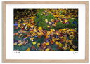 最大100%ポイントバック!限定抽選 アートフォト 絵画 霜がかる紅葉 高橋真澄/インテリア 額入り 額装込 風景画 油絵 ポスター アート アートパネル リビ...