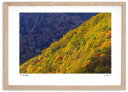 最大100%ポイントバック!限定抽選 アートフォト 絵画 紅葉の山 高橋真澄/インテリア 額入り 額装込 風景画 油絵 ポスター アート アートパネル リビング...