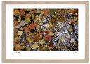 最大100%ポイントバック!限定抽選 アートフォト 絵画 紅葉24 高橋真澄/インテリア 額入り 額装込 風景画 油絵 ポスター アート アートパネル リビング...