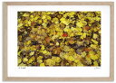 最大100%ポイントバック!限定抽選 アートフォト 絵画 紅葉26 高橋真澄/インテリア 額入り 額装込 風景画 油絵 ポスター アート アートパネル リビング...
