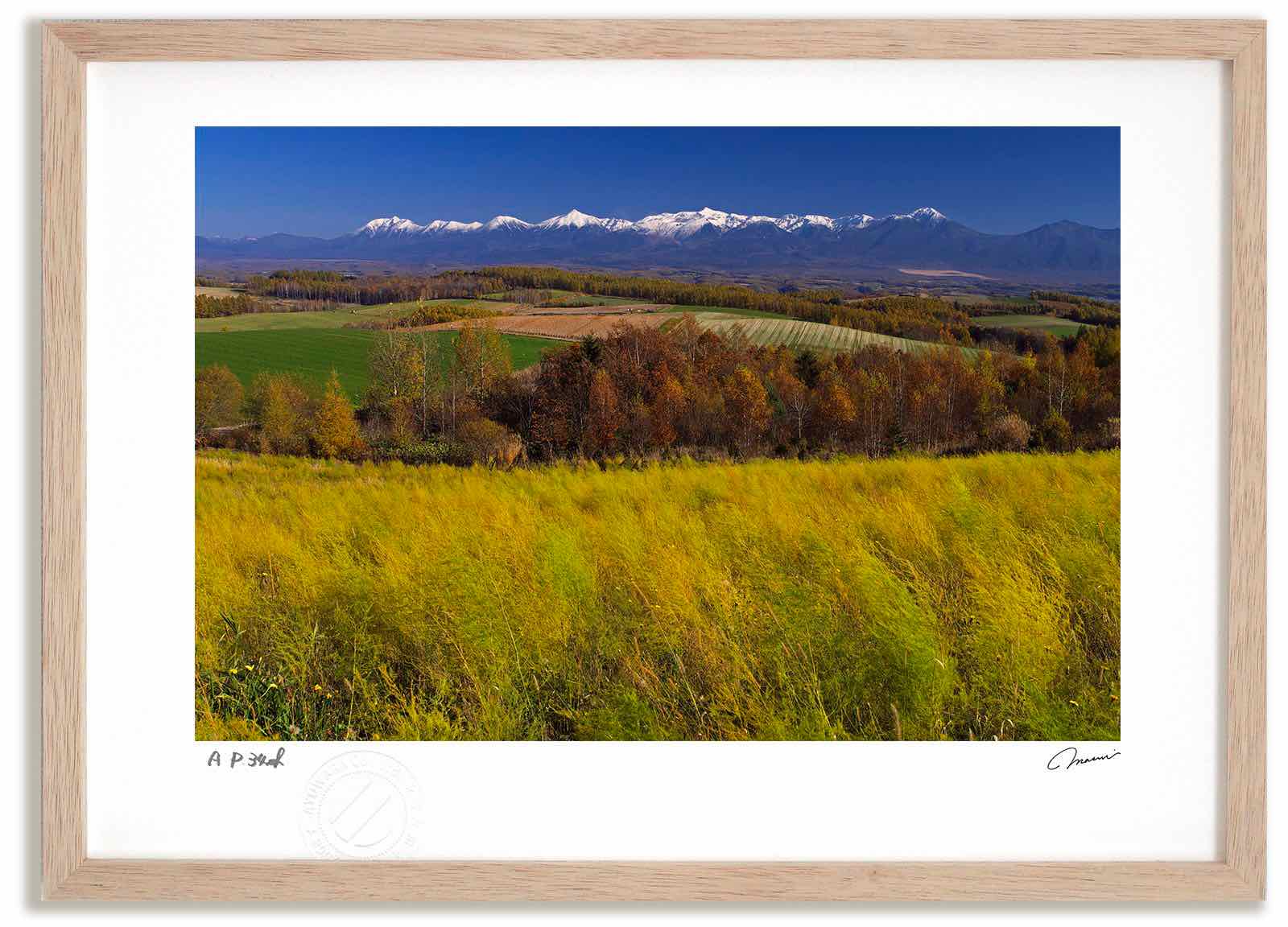 【スーパーSALE半額】アートフォト 絵画 アスパラ畑と十勝岳連峰 高橋真澄/インテリア 額入り 額装込 風景画 油絵 ポスター アート アートパネル リビング...