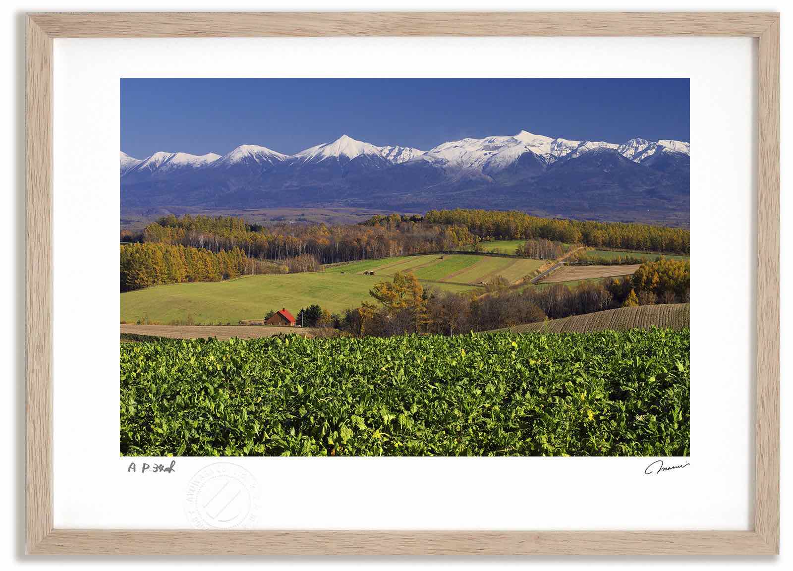 【スーパーSALE半額】アートフォト 絵画 秋の丘3 高橋真澄/インテリア 額入り 額装込 風景画 油絵 ポスター アート アートパネル リビング 玄関 プレゼ...