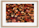 アートフォト 絵画 紅葉29 高橋真澄/インテリア 額入り 額装込 風景画 油絵 ポスター アート アートパネル リビング 玄関 プレゼント モダン アートフレーム 飾る おしゃれ 壁掛け 絵
