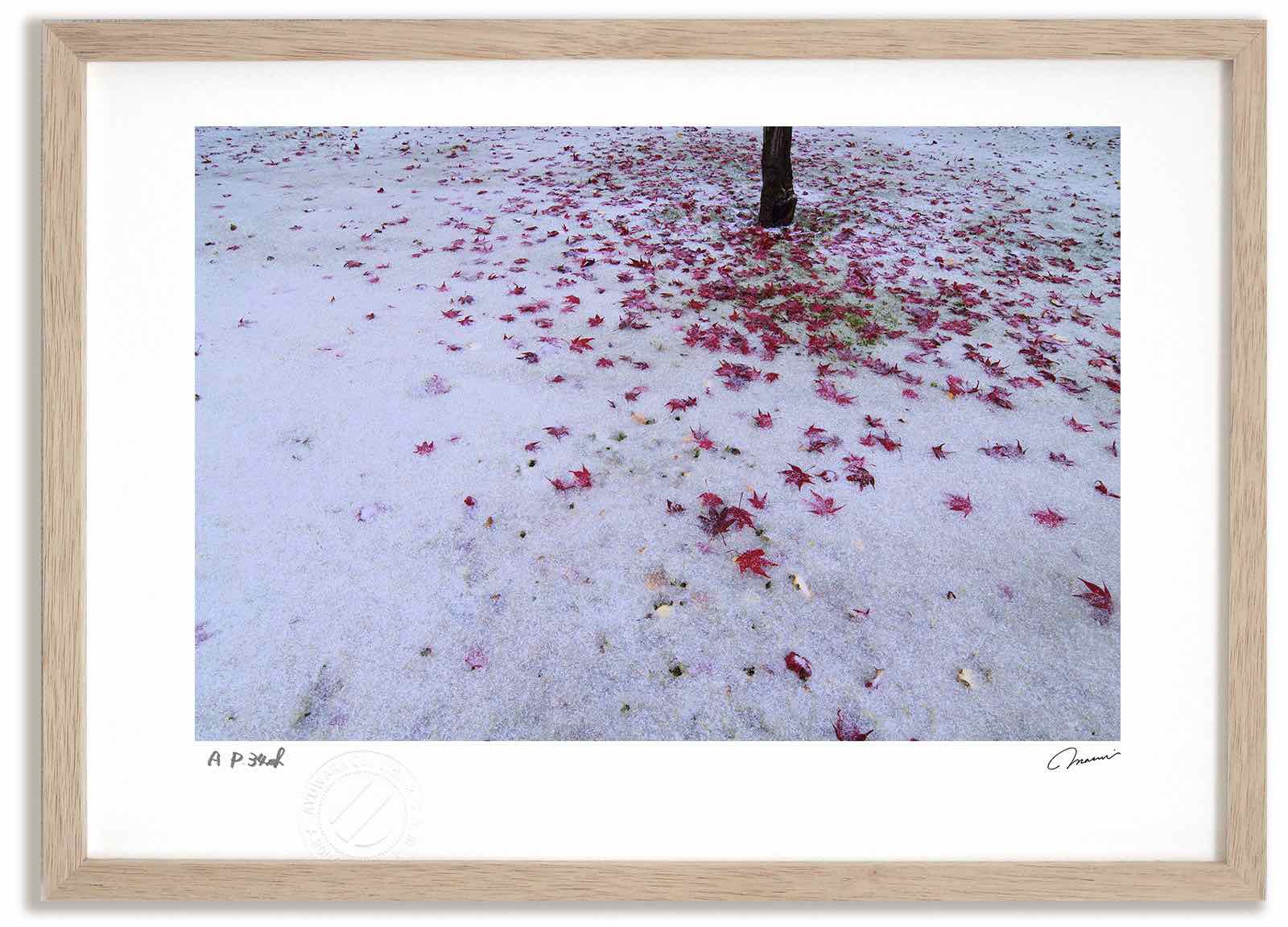 【スーパーSALE半額】アートフォト 絵画 新雪と紅葉1 高橋真澄/インテリア 額入り 額装込 風景画 油絵 ポスター アート アートパネル リビング 玄関 プ...