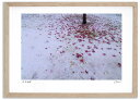 最大100%ポイントバック!限定抽選 アートフォト 絵画 新雪と紅葉1 高橋真澄/インテリア 額入り 額装込 風景画 油絵 ポスター アート アートパネル リビ...