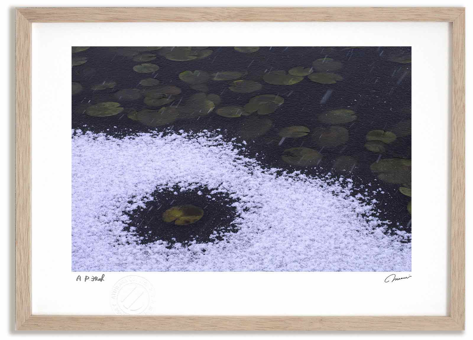 【スーパーSALE半額】アートフォト 絵画 睡蓮に初雪1 高橋真澄/インテリア 額入り 額装込 風景画 油絵 ポスター アート アートパネル リビング 玄関 プ...