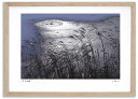 【抽選ポイント100%バック】アートフォト 絵画 池の文様 高橋真澄/インテリア 額入り 額装込 風景画 油絵 ポスター アート アートパネル リビング 玄関 ...