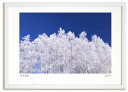 アートフォト 絵画 霧氷7 高橋真澄/インテリア 額入り 額装込 風景画 油絵 ポスター アート アートパネル リビング 玄関 プレゼント モダン アートフレー...