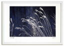 アートフォト 絵画 ダイヤモンドダストとススキ/中富良野町 高橋真澄/インテリア 飾る 額入り 額装込 風景画 油絵 ポスター アート 印象派 直筆 ビーチ ア...