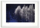 アートフォト 絵画 霧氷とダイヤモンドダスト/中富良野町 高橋真澄/インテリア 飾る 額入り 額装込 風景画 油絵 ポスター アート 印象派 直筆 ビーチ アー...