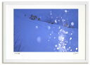 アートフォト 絵画 ダイヤモンドダスト2 高橋真澄/インテリア 額入り 額装込 風景画 油絵 ポスター アート アートパネル リビング 玄関 プレゼント モダン...