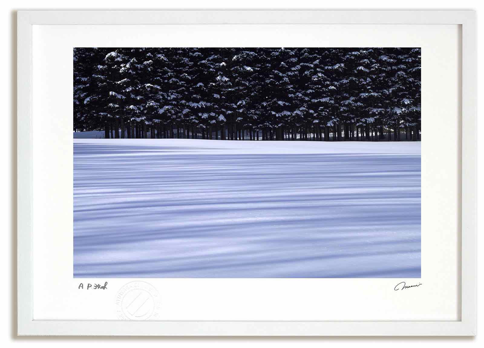 【スーパーSALE半額】アートフォト 絵画 樹影2/占冠村 高橋真澄/インテリア 額入り 額装込 風景画 油絵 ポスター アート アートパネル リビング 玄関 ...