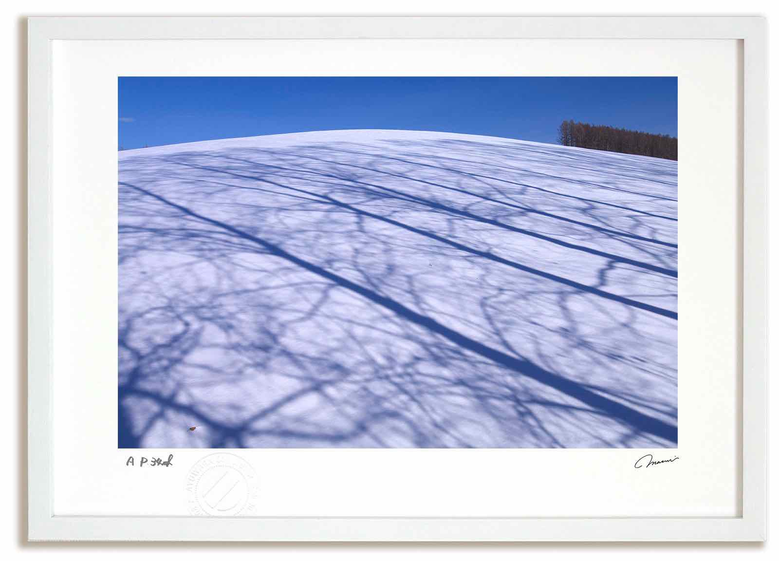 アートフォト 絵画 丘と影1 高橋真澄/インテリア 額入り 額装込 風景画 油絵 ポスター アート アートパネル リビング 玄関 プレゼント モダン アートフレーム 飾る おしゃれ 壁掛け 絵