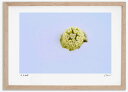 最大100%ポイントバック!限定抽選 アートフォト 絵画 ふきのとう 高橋真澄/インテリア 額入り 額装込 風景画 油絵 ポスター アート アートパネル リビン...