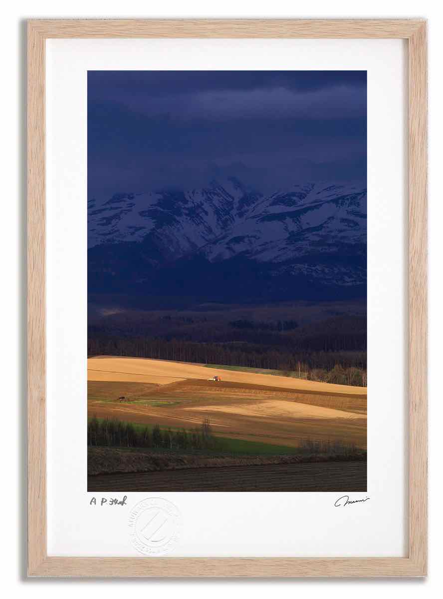 【スーパーSALE半額】アートフォト 絵画 寸光の大地3 高橋真澄/インテリア 額入り 額装込 風景画 油絵 ポスター アート アートパネル リビング 玄関 プ...