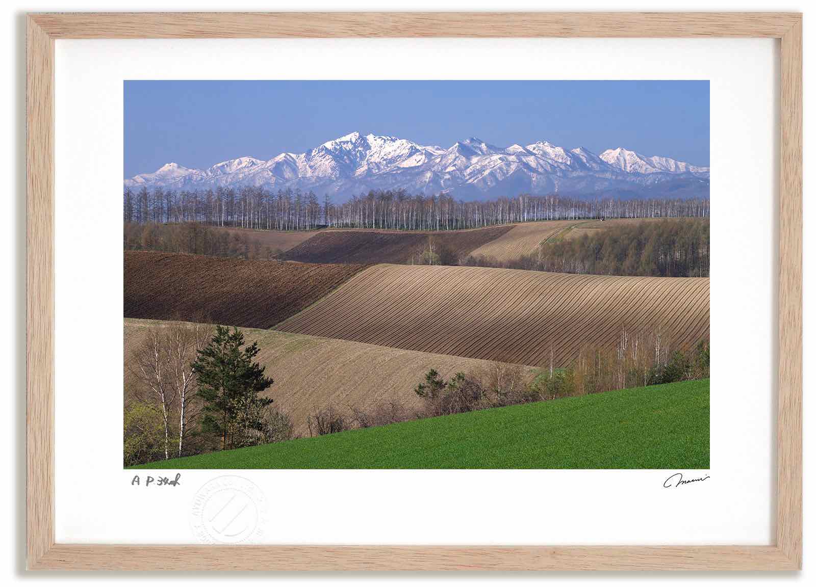 ڥѡSALEȾۡۥȥե  ֤¤Ȱ̳ ⶶ/ƥꥢ   ʲ  ݥ  ȥѥͥ ӥ ...