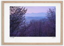 最大100%ポイントバック!限定抽選 アートフォト 絵画 日の出前の桜 高橋真澄/インテリア 額入り 額装込 風景画 油絵 ポスター アート アートパネル リビ...